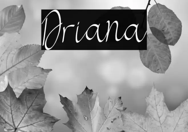 Driana Font examples