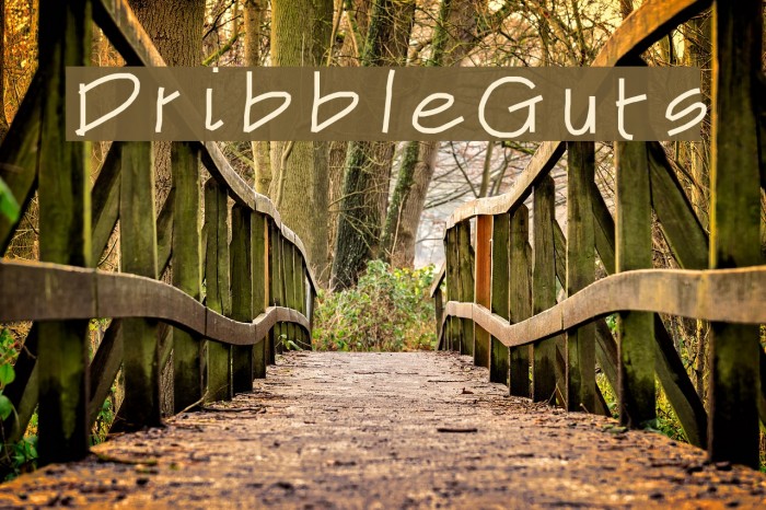 DribbleGuts Font examples