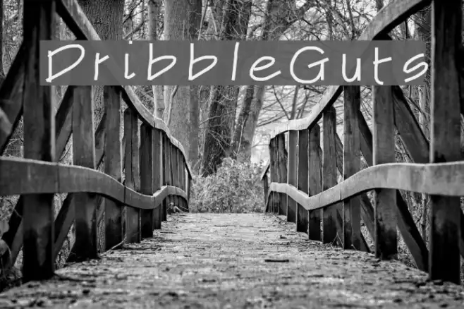 DribbleGuts Example 3