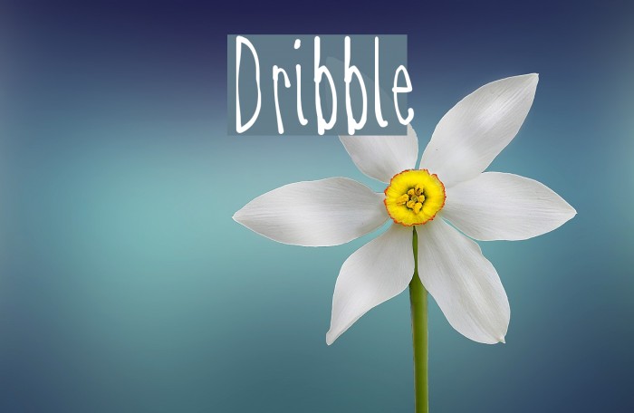 Dribble Font examples