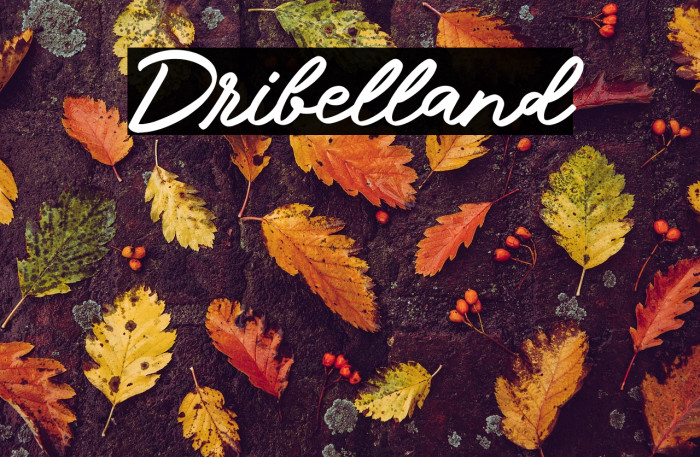 Dribelland Example 3