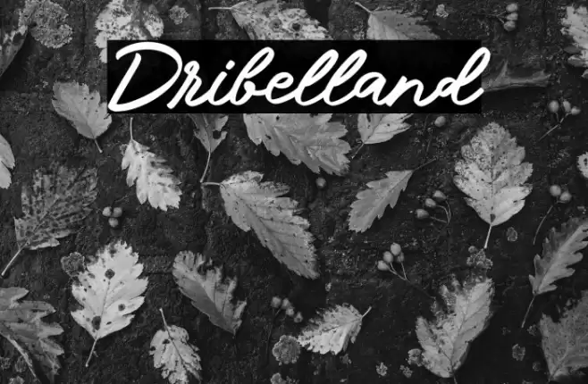Dribelland Шрифта examples