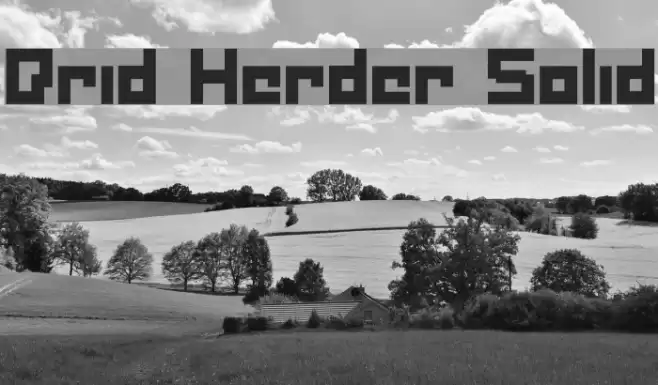 Drid Herder Solid Font examples