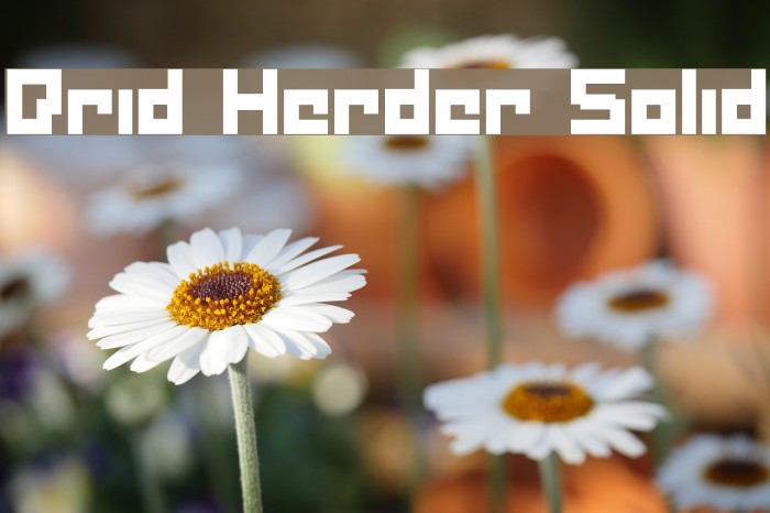 Drid Herder Solid Font examples