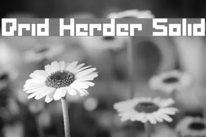 Drid Herder Solid Font examples