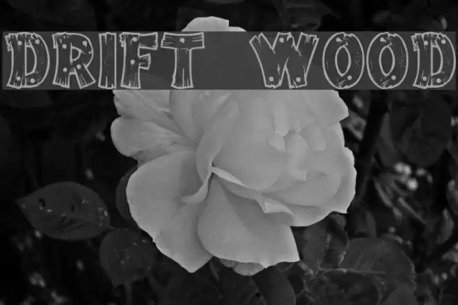 Drift Wood Font examples
