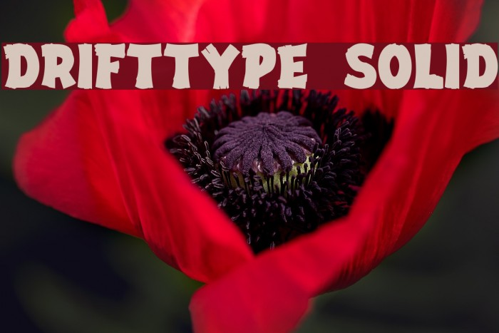 DriftType Solid Font examples