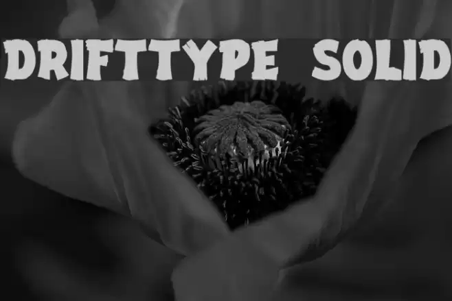 DriftType Solid Font examples