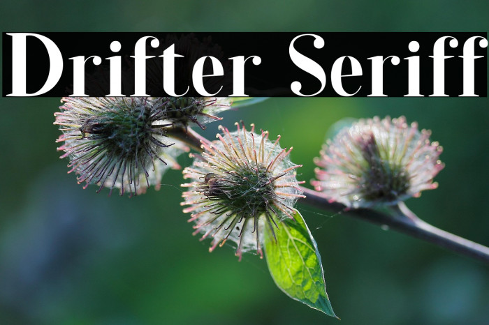 Drifter Seriff Example 3