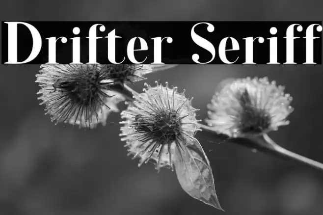Drifter Seriff Example 3