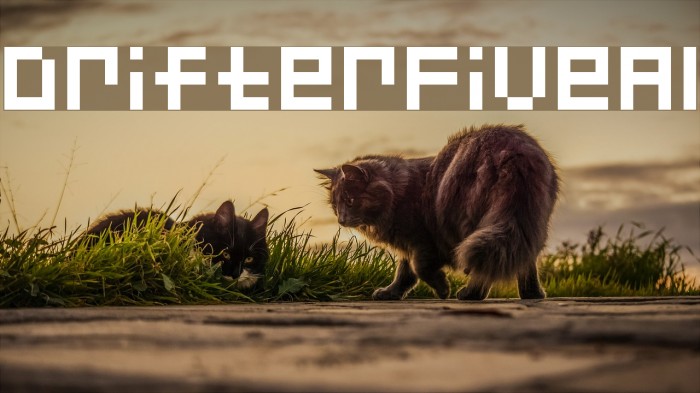 DrifterFiveAl Example 3