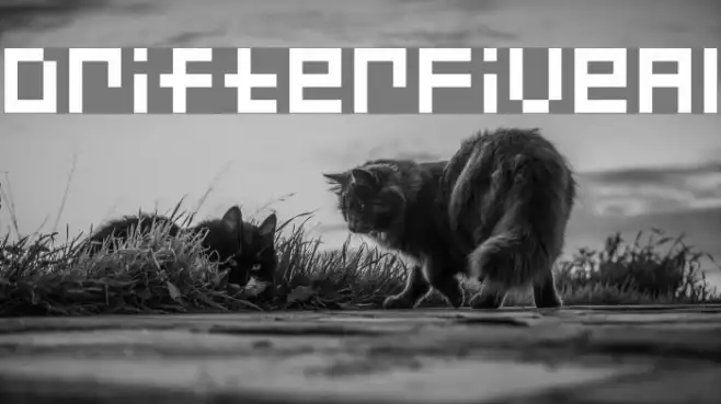 DrifterFiveAl Example 3
