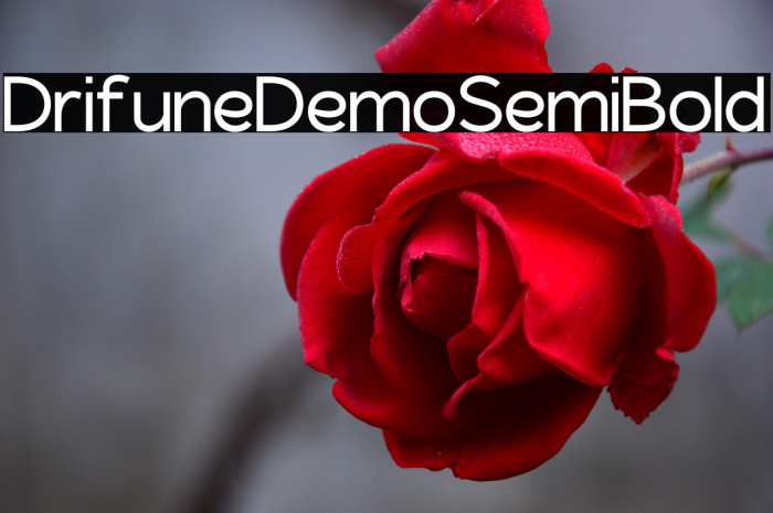Driftune Demo SemiBold Example 1