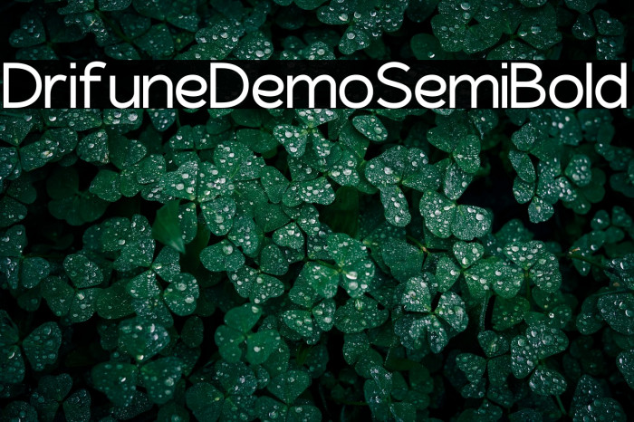 Driftune Demo SemiBold Example 3
