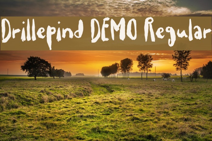 Drillepind DEMO Regular Font examples