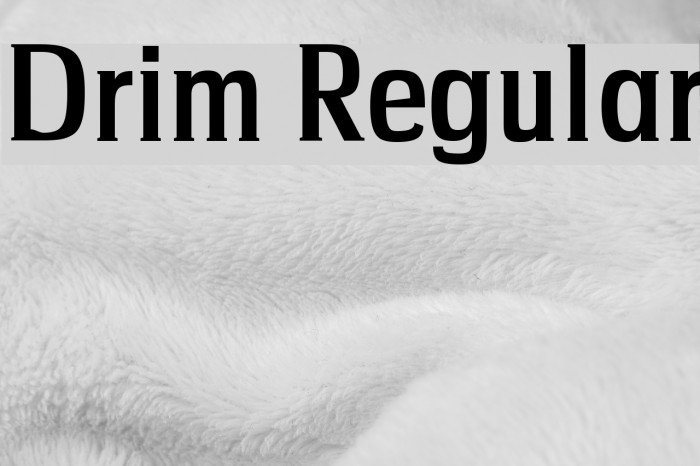 Drim Regular Font examples