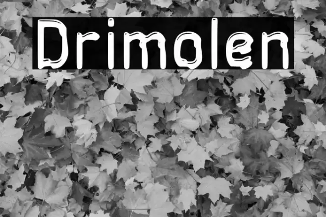 Drimolen Font examples