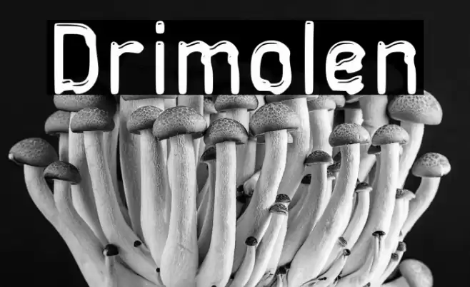 Drimolen Font examples
