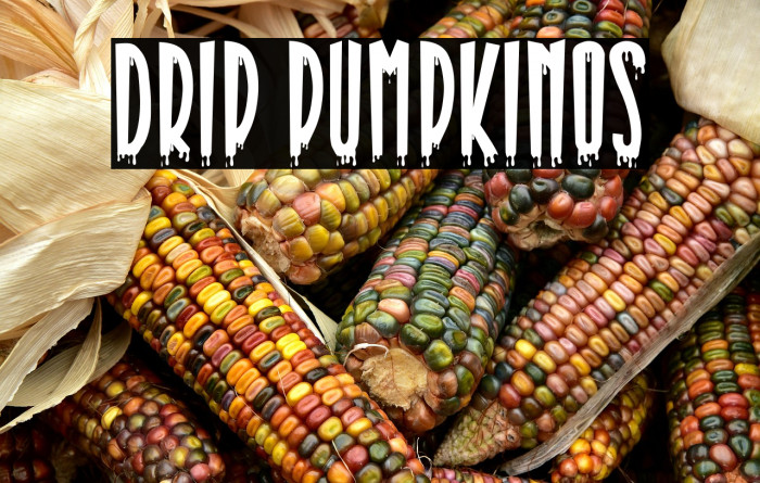 Drip Pumpkinos Example 3