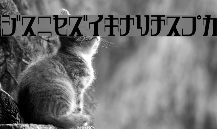 DripRegularKt Example 3