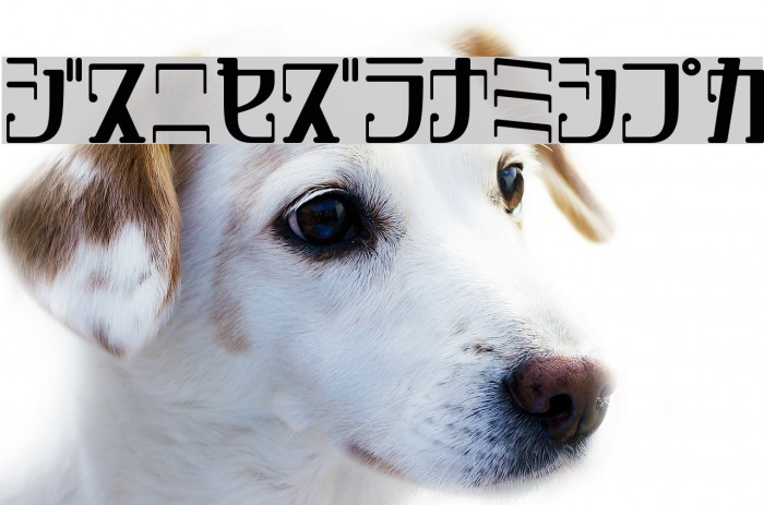 DripRoundKt Example 1