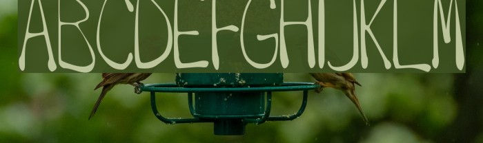 Drip Font examples