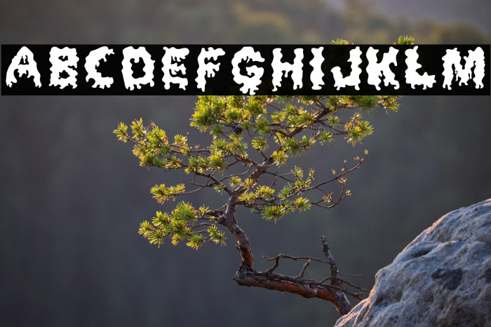 Dripping Horror Example 1