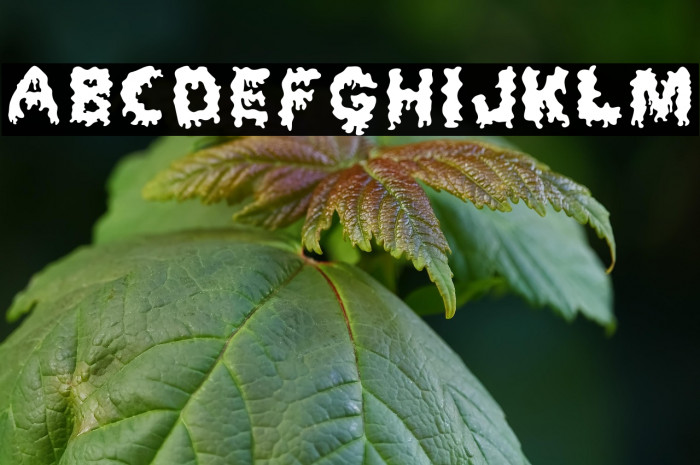 Dripping Horror Example 2