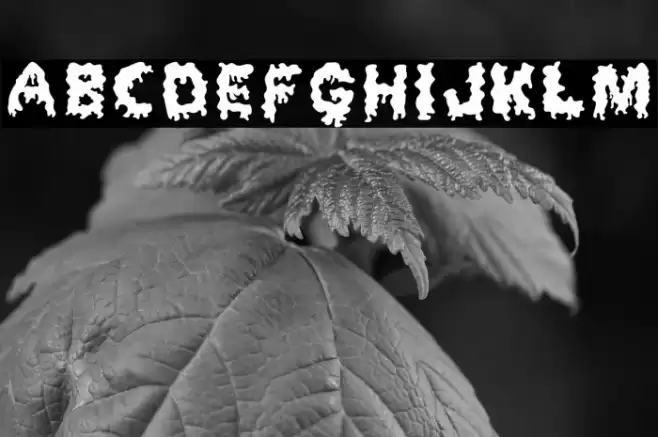 Dripping Horror Font examples