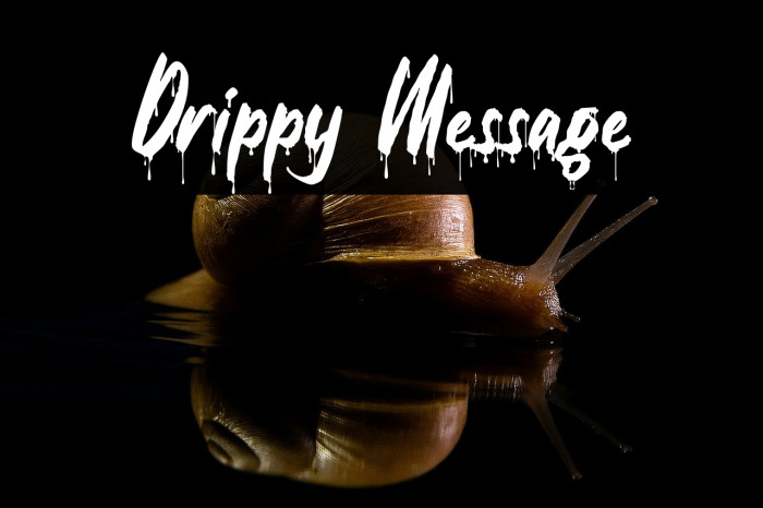Drippy Message Example 2