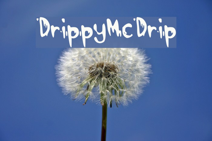 DrippyMcDrip Font examples