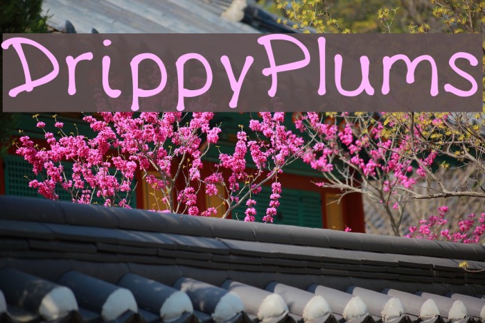 DrippyPlums Font examples
