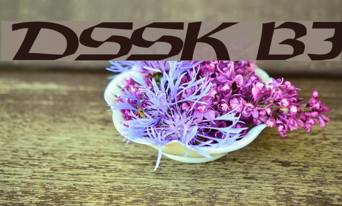 DriscollSSK BoldItalic Font examples