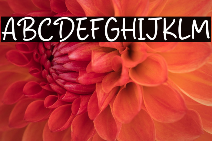 Dristan Story Example 2