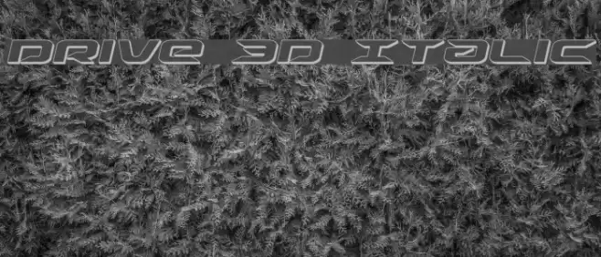 Drive 3D Italic Font examples