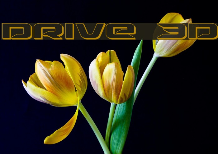 Drive 3D Example 1