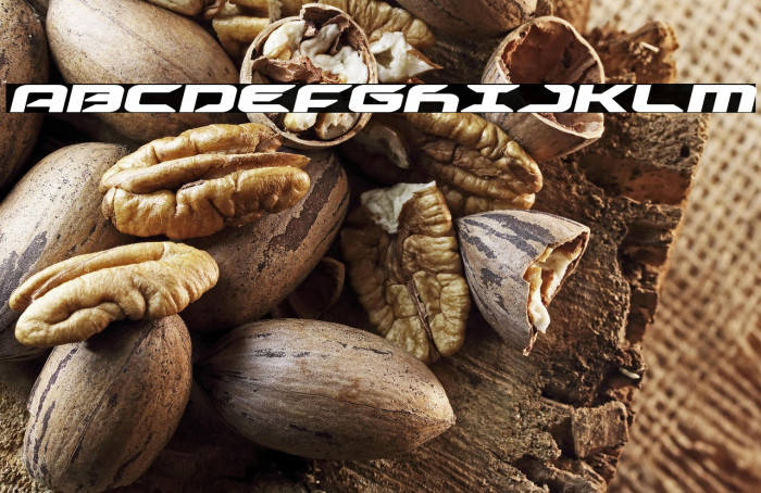 Drive Bold Italic Example 3