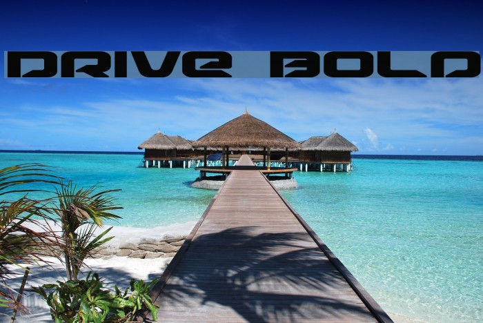 Drive Bold Example 1