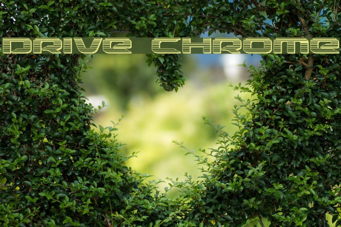 Drive Chrome Font examples