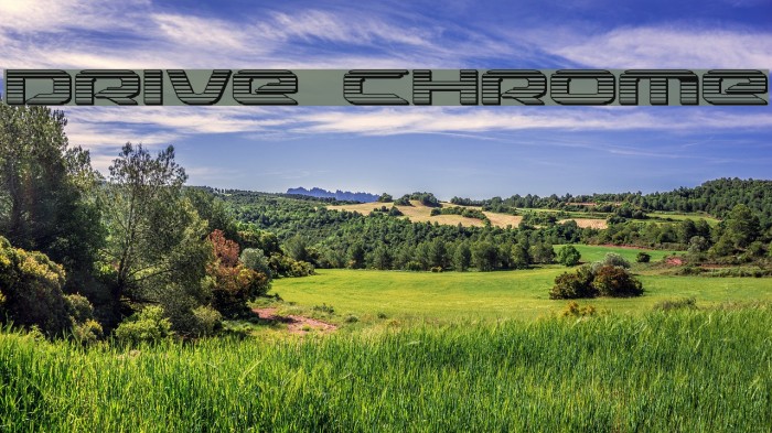 Drive Chrome Font examples