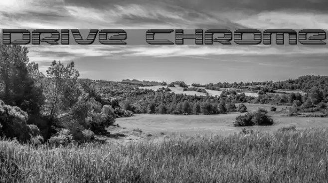 Drive Chrome Font examples