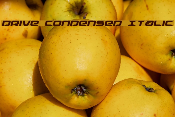 Drive Condensed Italic Example 1