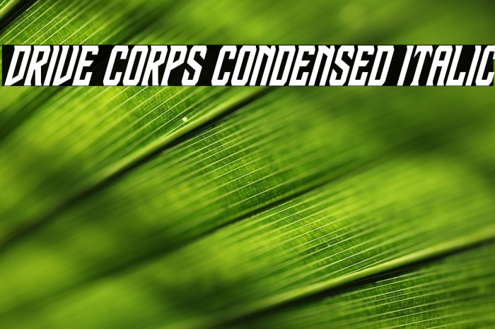 Drive Corps Condensed Italic Example 1