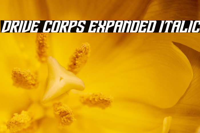 Drive Corps Expanded Italic Example 1