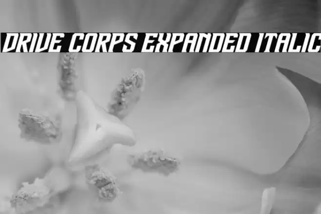 Drive Corps Expanded Italic Font examples