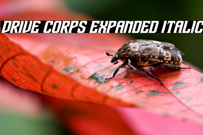 Drive Corps Expanded Italic Example 2