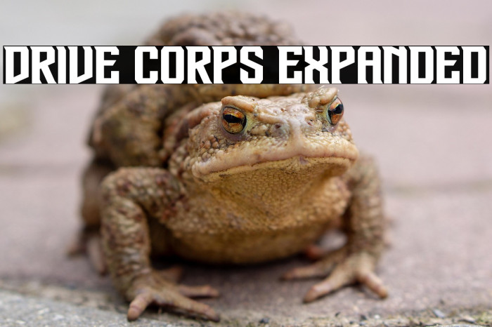 Drive Corps Expanded Example 2