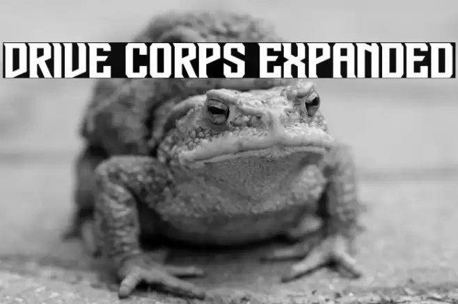 Drive Corps Expanded Font examples