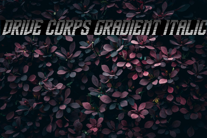 Drive Corps Gradient Italic Example 1