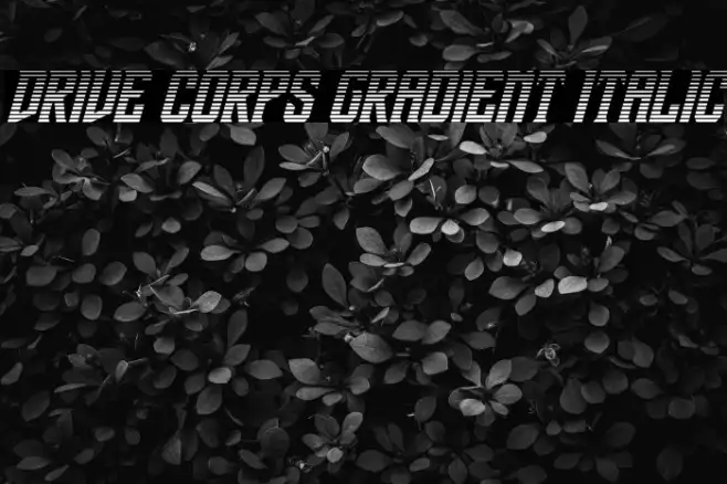 Drive Corps Gradient Italic Example 1